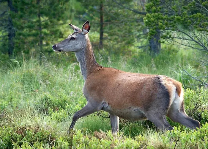 Nordstrand Maison d'hôtes